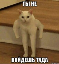 ты не войдешь туда