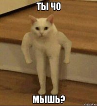 ты чо мышь?