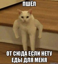 пшёл от сюда если нету еды для меня