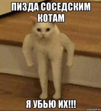 пизда соседским котам я убью их!!!