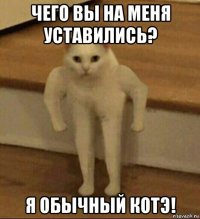 чего вы на меня уставились? я обычный котэ!