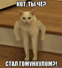 кот, ты чё? стал гомункулом?!