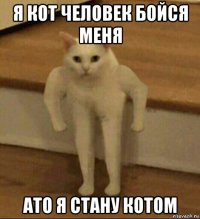 я кот человек бойся меня ато я стану котом