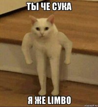 ты че сука я же limbo