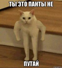 ты это панты не путай