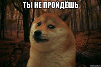 ты не пройдёшь 