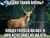 я один такой олень? кладу голоса на аву, и они исчезают не на что