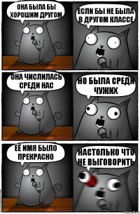 Она была бы хорошим другом ЕСЛИ БЫ НЕ БЫЛА В ДРУГОМ КЛАССЕ Она числилась среди нас НО БЫЛА СРЕДИ ЧУЖИХ Её имя было прекрасно НАСТОЛЬКО ЧТО НЕ ВЫГОВОРИТЬ