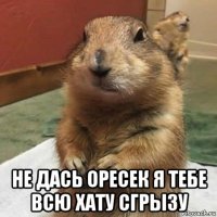  не дась оресек я тебе всю хату сгрызу