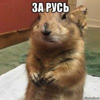 за русь 