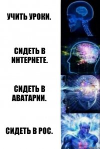 Учить уроки. Сидеть в интернете. Сидеть в аватарии. Сидеть в РОС.