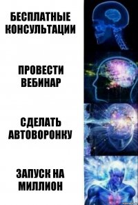 Бесплатные консультации Провести вебинар Сделать автоворонку Запуск на миллион