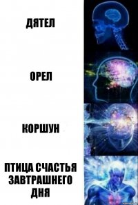 дятел орел коршун птица счастья завтрашнего дня