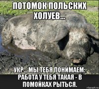 потомок польских холуев... укр... мы тебя понимаем: работа у тебя такая - в помойках рыться.