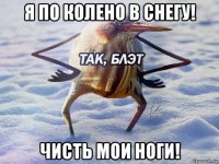 я по колено в снегу! чисть мои ноги!