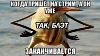 когда пришёл на стрим , а он уже заканчивается