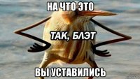 на что это вы уставились