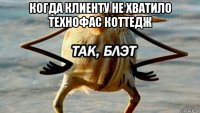 когда клиенту не хватило технофас коттедж 