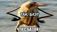  что с базой?