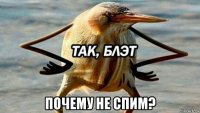  почему не спим?