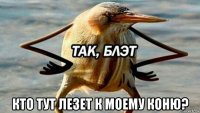  кто тут лезет к моему коню?