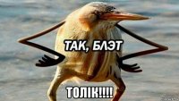  толік!!!!