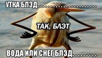 утка блэд. . . . . . . . . . . . . . . . . . . . . . . вода или снег блэд. . . . . . . . .