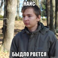 найс быдло рвется