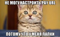 не могу настроить pay url потому что у меня лапки