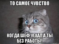 то самое чувство когда шеф уехал,а ты без работы!