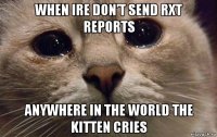 when ire don’t send rxt reports anywhere in the world the kitten cries