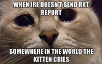 when ire doesn’t send rxt report somewhere in the world the kitten cries