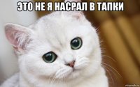 это не я насрал в тапки 