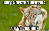 когда пустил шептуна а тебя спалили