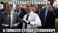 не степан степанович а гамасєк степан степанович