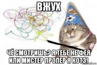 вжух чё смотришь? я тебе не фея или мистер пропер я котэ!