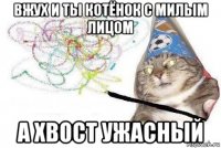 вжух и ты котёнок с милым лицом а хвост ужасный