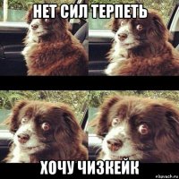 нет сил терпеть хочу чизкейк