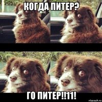 когда питер? го питер!!11!