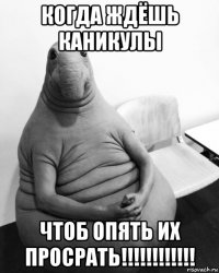 когда ждёшь каникулы чтоб опять их просрать!!!!!!!!!!!!