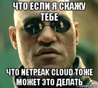 что если я скажу тебе что netpeak cloud тоже может это делать