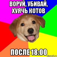 воруй, убивай, хуячь котов после 18:00