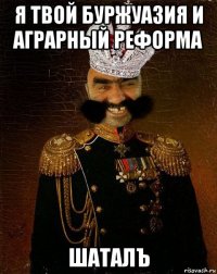 я твой буржуазия и аграрный реформа шаталъ