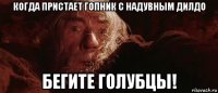 когда пристает гопник с надувным дилдо бегите голубцы!