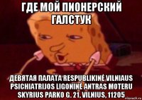 где мой пионерский галстук девятая палата respublikinė vilniaus psichiatrijos ligoninė antras moteru skyrius parko g. 21, vilnius, 11205