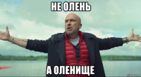 не олень а оленище