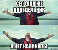 сегодня же понедельник a нет каникулы