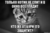 только котик не спит и в окно всё глядит кто же от бури его защитит?