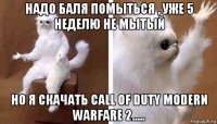 надо баля помыться , уже 5 неделю не мытый но я скачать call of duty modern warfare 2.....