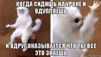 когда сидишь на уроке и вдупляешь и вдруг оказывается что ты всё это знаешь